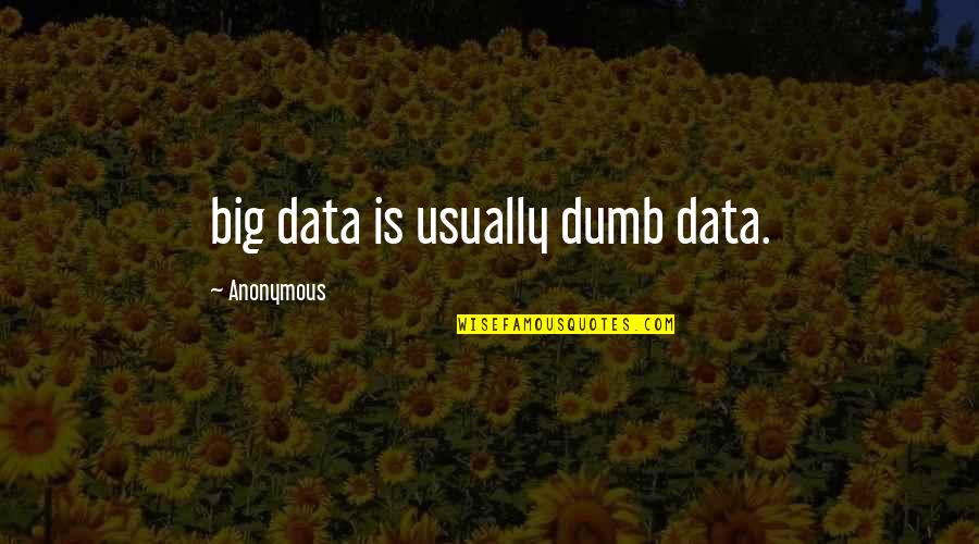 Easy Listening Quotes By Anonymous: big data is usually dumb data.