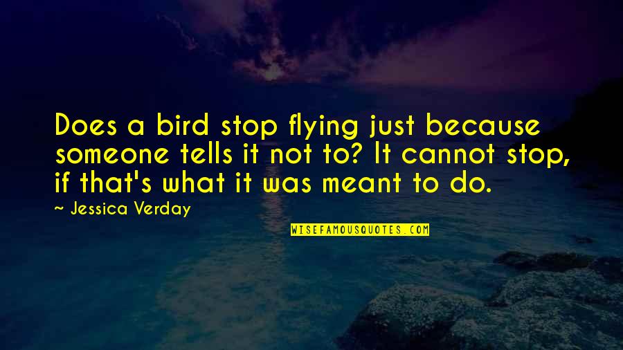 Easy To Forget Me Quotes By Jessica Verday: Does a bird stop flying just because someone