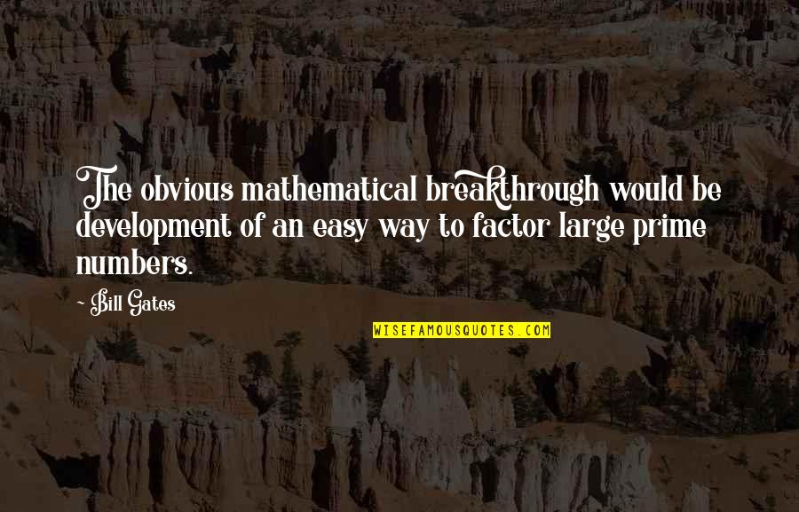 Easy Way Quotes By Bill Gates: The obvious mathematical breakthrough would be development of
