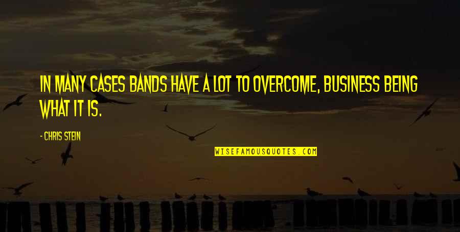 Easyjet Airlines Quotes By Chris Stein: In many cases bands have a lot to