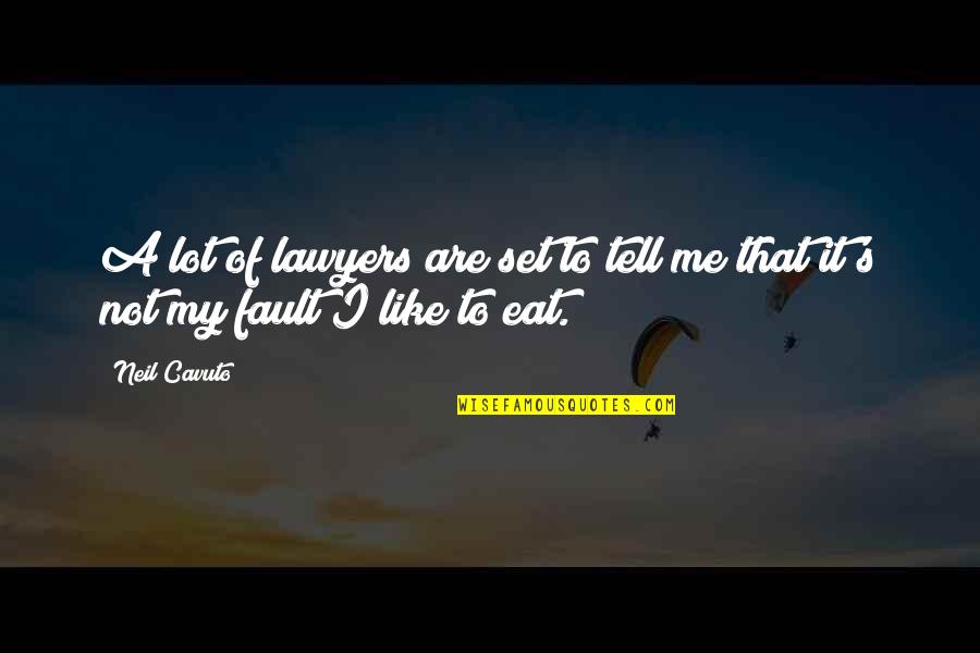 Eat A Lot Quotes By Neil Cavuto: A lot of lawyers are set to tell