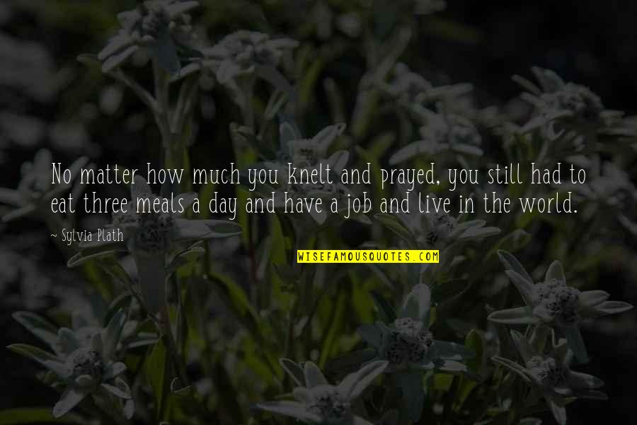 Eat To Live Quotes By Sylvia Plath: No matter how much you knelt and prayed,