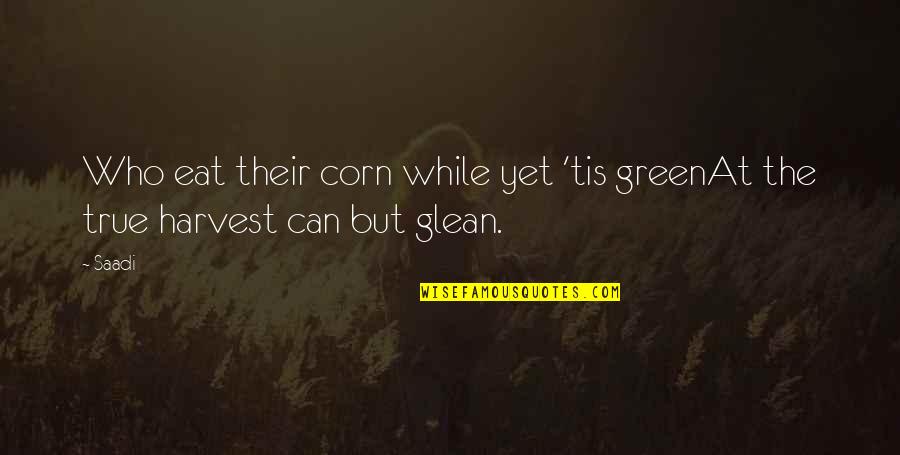 Eat While You Can Quotes By Saadi: Who eat their corn while yet 'tis greenAt