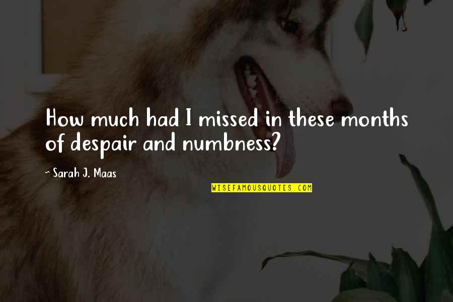 Eau De Cologne Quotes By Sarah J. Maas: How much had I missed in these months Eau De Cologne Quotes By Sarah J. Maas: How much had I missed in these months