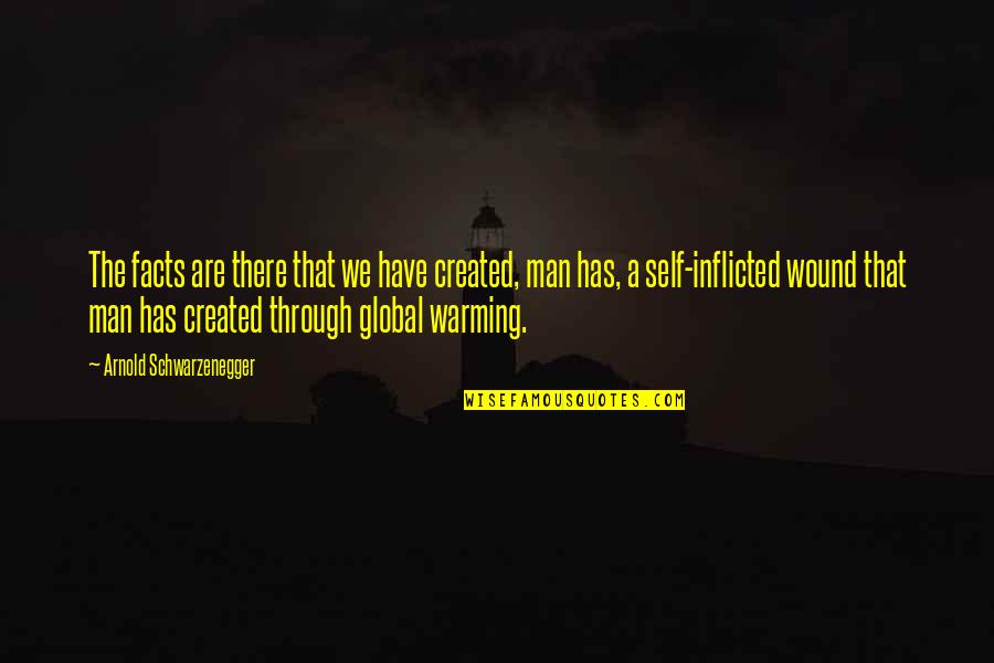 Ebed Community Quotes By Arnold Schwarzenegger: The facts are there that we have created,