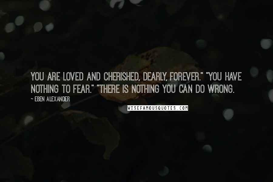 Eben Alexander quotes: You are loved and cherished, dearly, forever." "You have nothing to fear." "There is nothing you can do wrong.