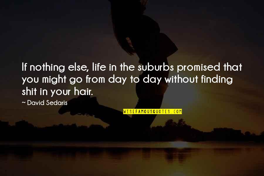 Eberly Barns Quotes By David Sedaris: If nothing else, life in the suburbs promised Eberly Barns Quotes By David Sedaris: If nothing else, life in the suburbs promised