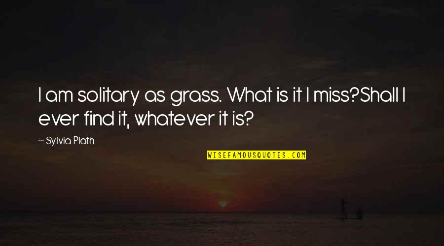 Ebersol Mccormick Quotes By Sylvia Plath: I am solitary as grass. What is it