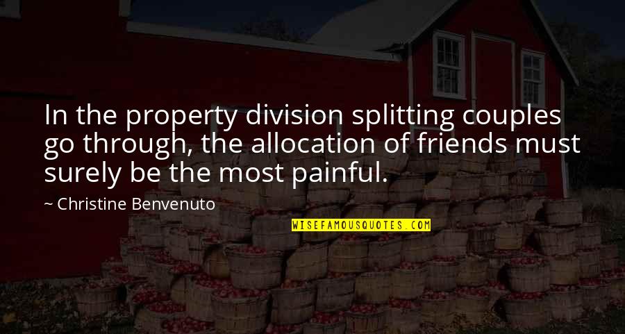 Ebottles420 Quotes By Christine Benvenuto: In the property division splitting couples go through, Ebottles420 Quotes By Christine Benvenuto: In the property division splitting couples go through,