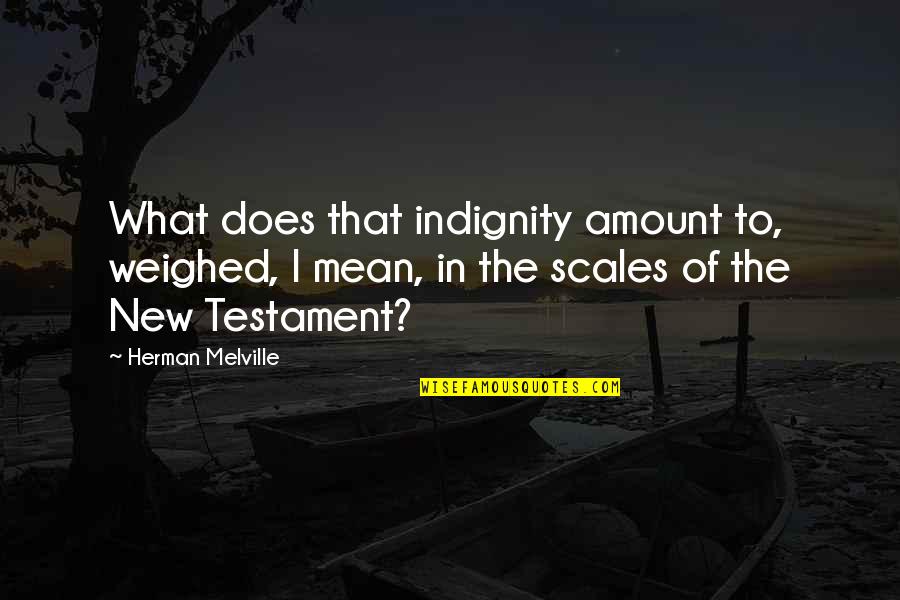 Ebottles420 Quotes By Herman Melville: What does that indignity amount to, weighed, I Ebottles420 Quotes By Herman Melville: What does that indignity amount to, weighed, I