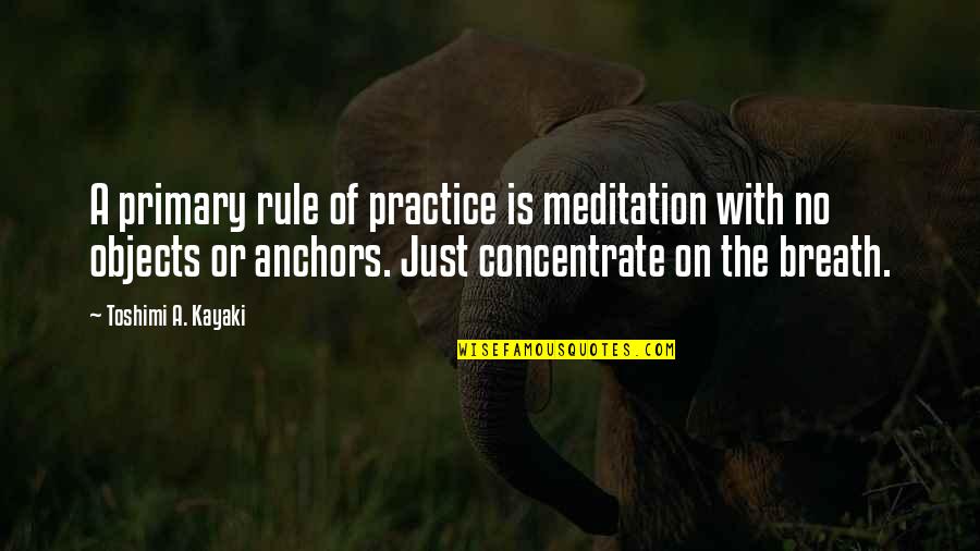 Ebraico Vinho Quotes By Toshimi A. Kayaki: A primary rule of practice is meditation with