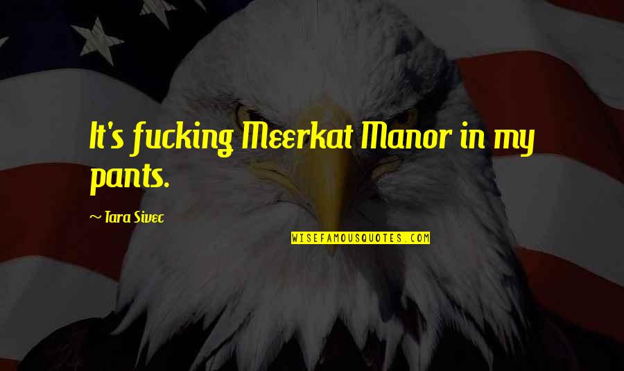 Eccentric Black Computer Scientists Quotes By Tara Sivec: It's fucking Meerkat Manor in my pants. Eccentric Black Computer Scientists Quotes By Tara Sivec: It's fucking Meerkat Manor in my pants.