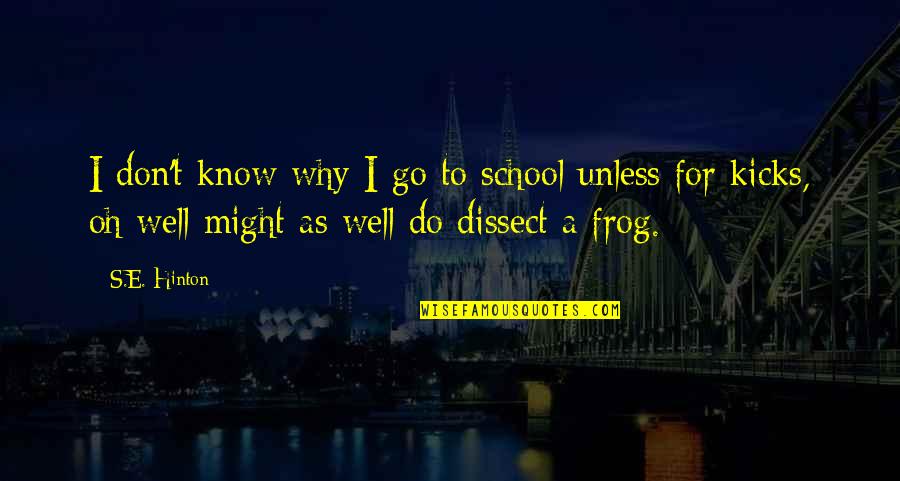 Echabamos Quotes By S.E. Hinton: I don't know why I go to school