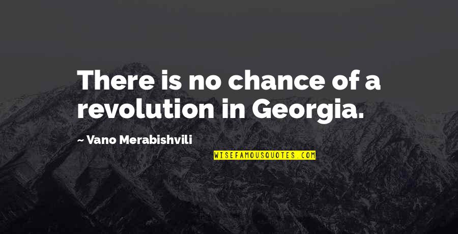 Echarle Mucha Quotes By Vano Merabishvili: There is no chance of a revolution in