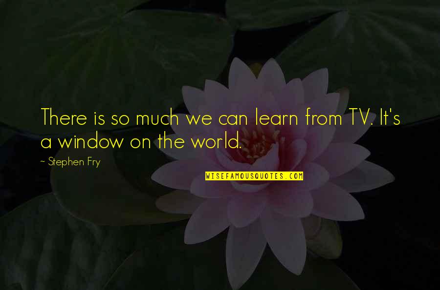 Echohawk Wood Quotes By Stephen Fry: There is so much we can learn from