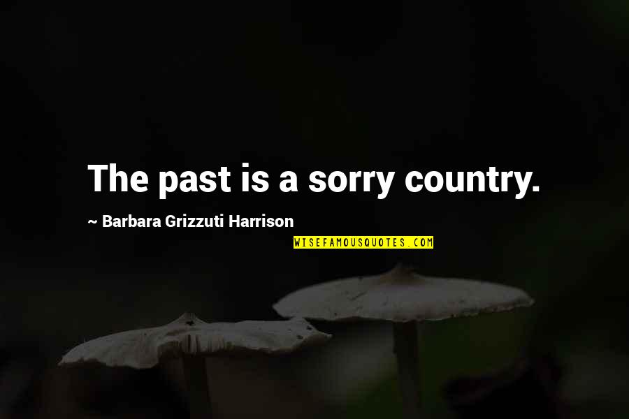 Echoic Quotes By Barbara Grizzuti Harrison: The past is a sorry country.