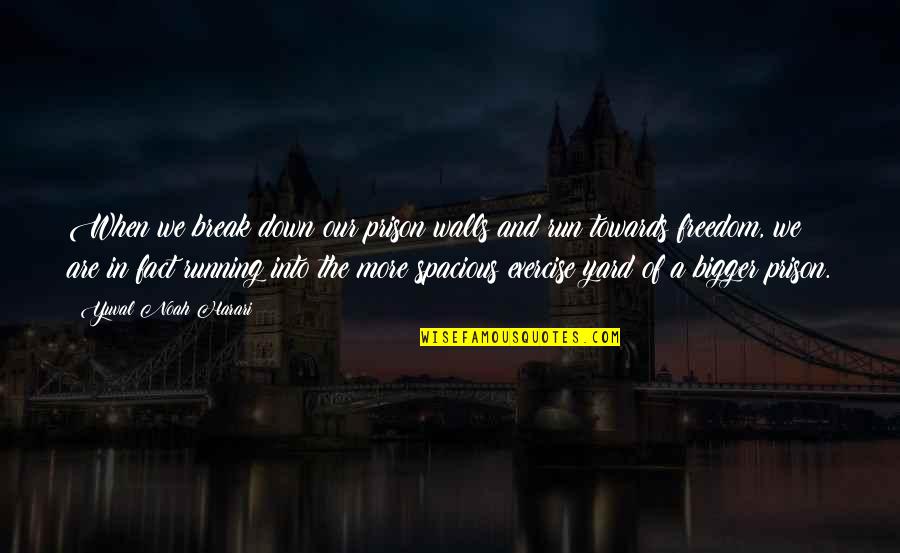 Echolocation In Bats Quotes By Yuval Noah Harari: When we break down our prison walls and