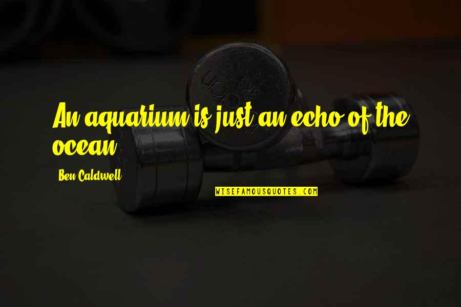 Echo's Quotes By Ben Caldwell: An aquarium is just an echo of the