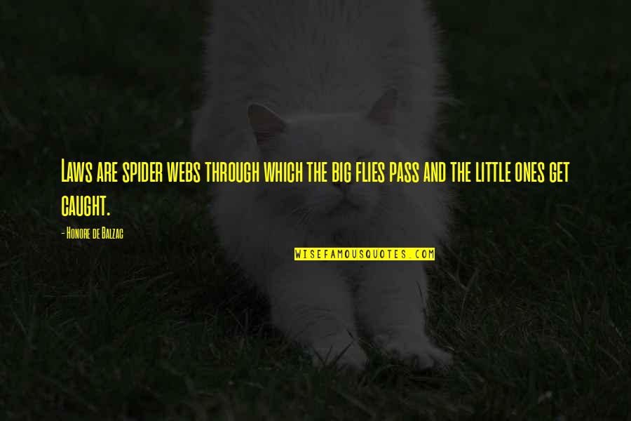Eckenrode Septic Quotes By Honore De Balzac: Laws are spider webs through which the big Eckenrode Septic Quotes By Honore De Balzac: Laws are spider webs through which the big