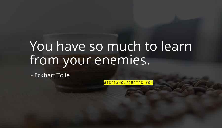 Eckhart Quotes By Eckhart Tolle: You have so much to learn from your