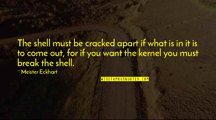 Eckhart Quotes By Meister Eckhart: The shell must be cracked apart if what