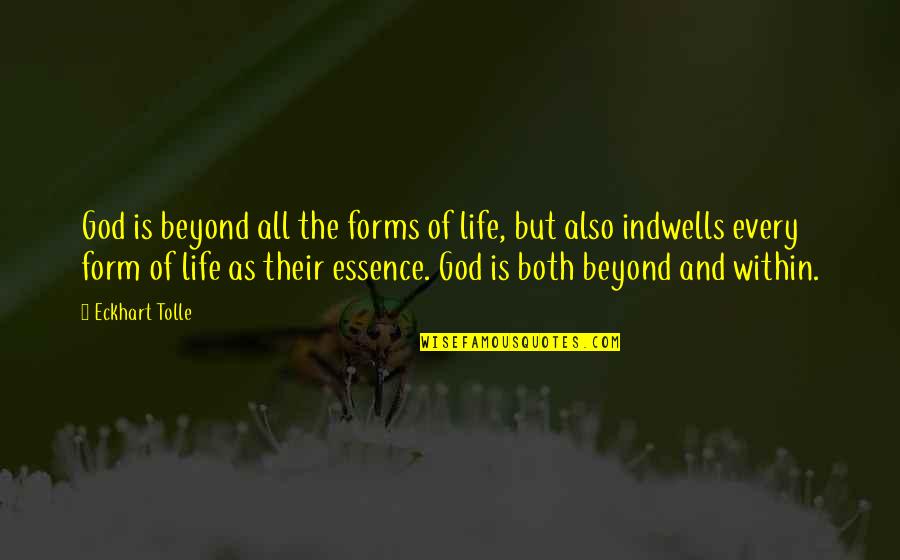 Eckhart Tolle Life Quotes By Eckhart Tolle: God is beyond all the forms of life,