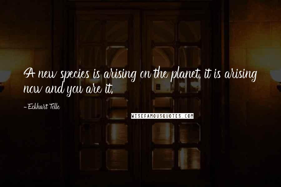 Eckhart Tolle quotes: A new species is arising on the planet, it is arising now and you are it.
