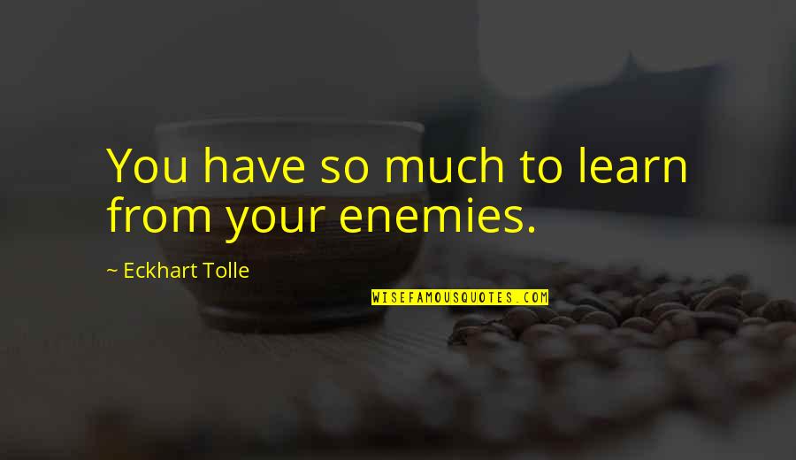 Eckhart Tolle's Quotes By Eckhart Tolle: You have so much to learn from your