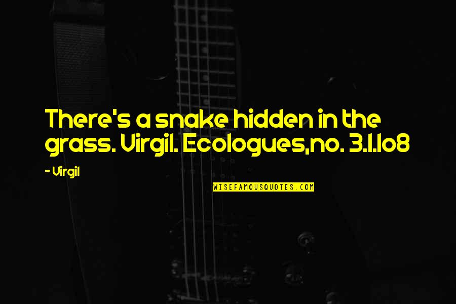 Ecologues Quotes By Virgil: There's a snake hidden in the grass. Virgil.