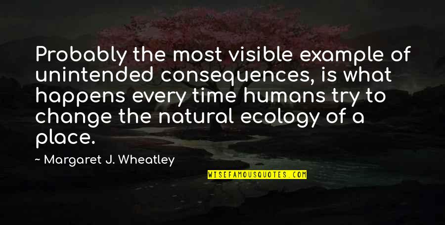 Ecology's Quotes By Margaret J. Wheatley: Probably the most visible example of unintended consequences,