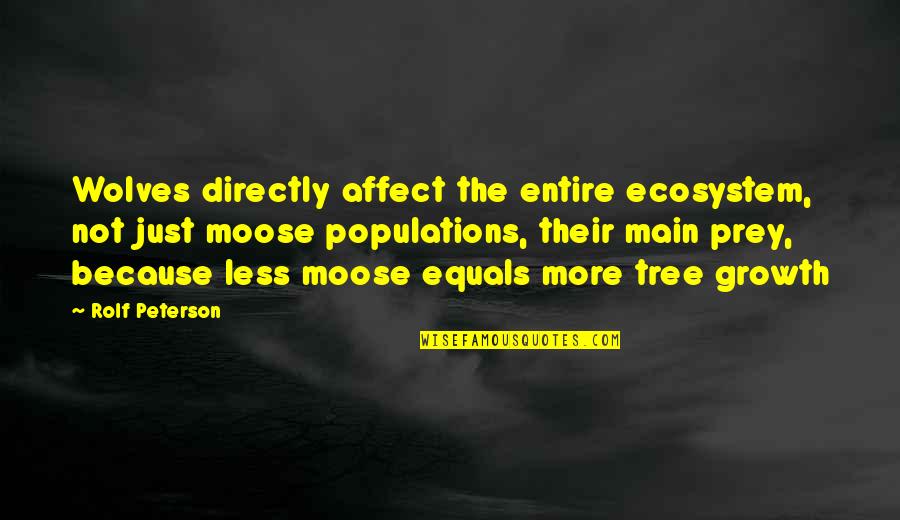 Ecology's Quotes By Rolf Peterson: Wolves directly affect the entire ecosystem, not just