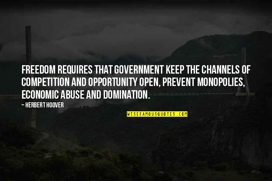 Economic Competition Quotes By Herbert Hoover: Freedom requires that government keep the channels of