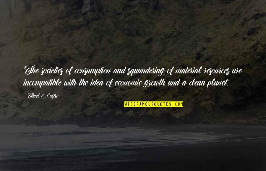 Economic Consumption Quotes By Fidel Castro: The societies of consumption and squandering of material
