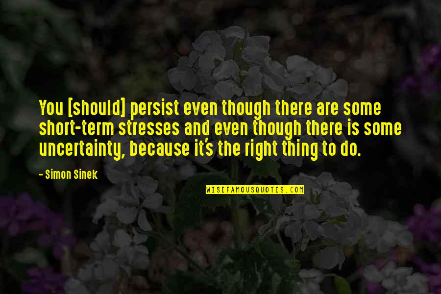 Economic Decline Quotes By Simon Sinek: You [should] persist even though there are some