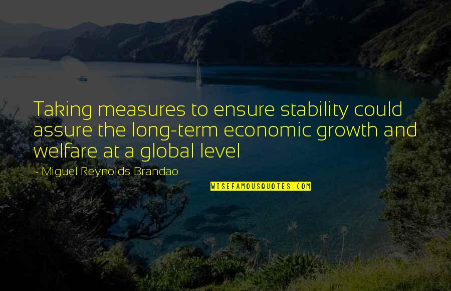 Economic Inequality Quotes By Miguel Reynolds Brandao: Taking measures to ensure stability could assure the