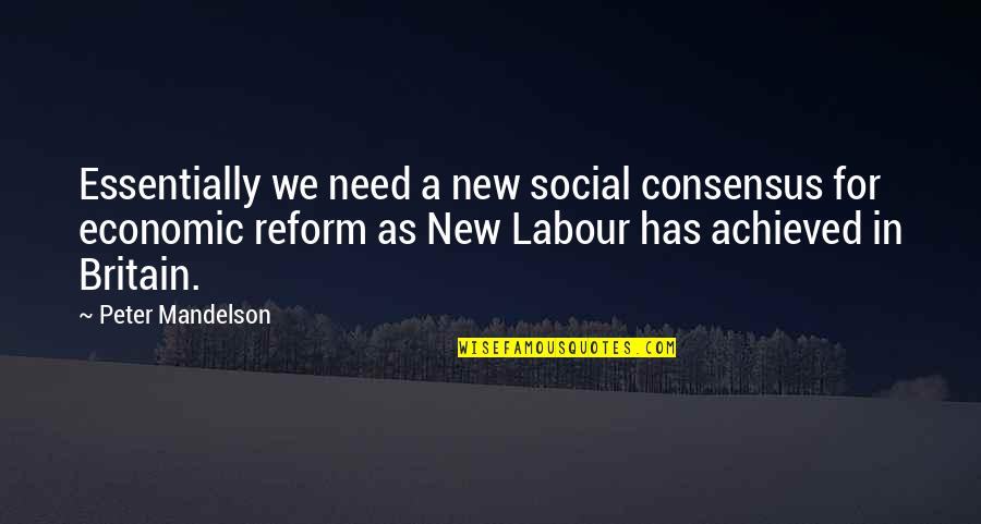 Economic Reform Quotes By Peter Mandelson: Essentially we need a new social consensus for