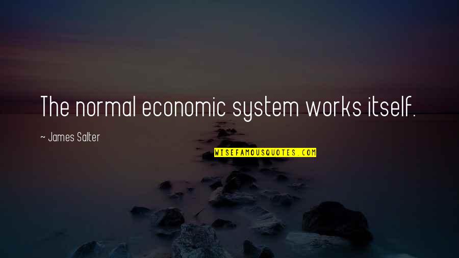 Economic Systems Quotes By James Salter: The normal economic system works itself.