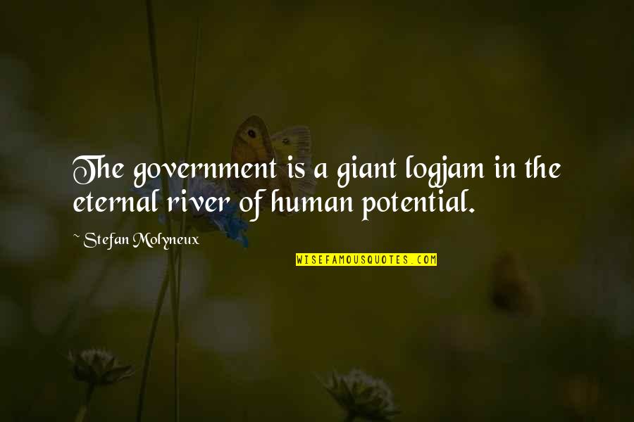 Economics And Government Quotes By Stefan Molyneux: The government is a giant logjam in the