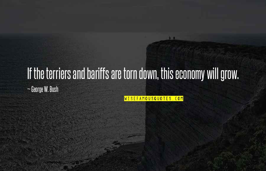 Economy And Politics Quotes By George W. Bush: If the terriers and bariffs are torn down,