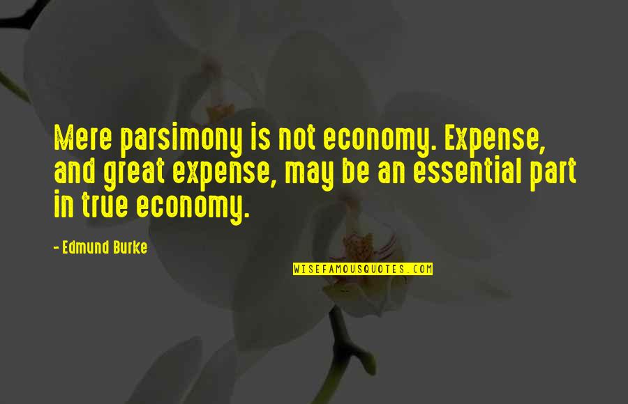 Economy Quotes By Edmund Burke: Mere parsimony is not economy. Expense, and great