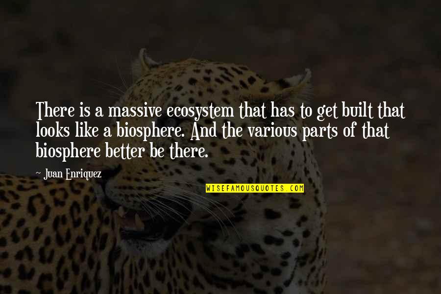 Ecosystem Quotes By Juan Enriquez: There is a massive ecosystem that has to