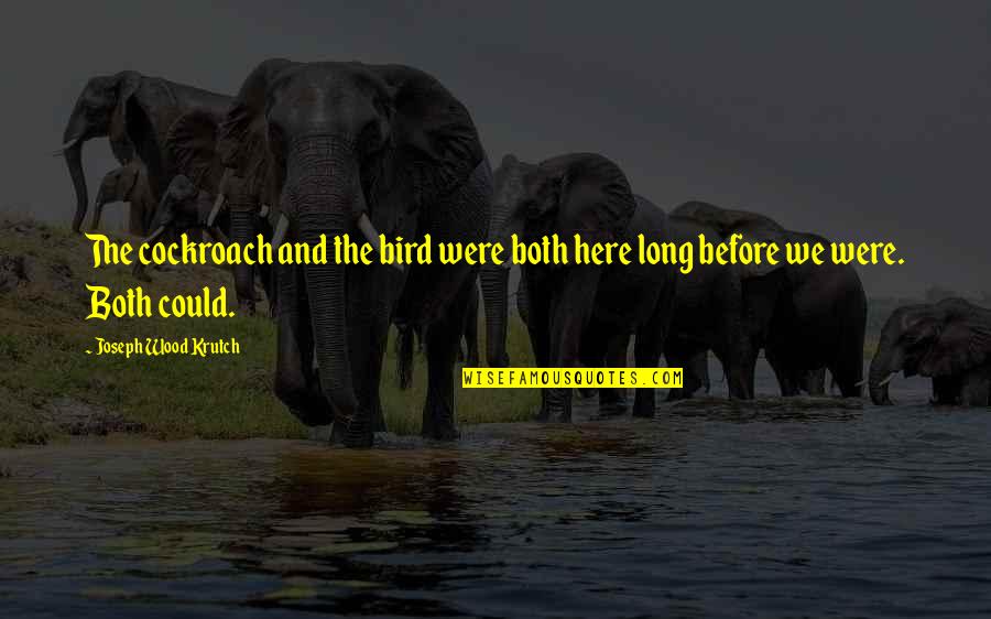 Ecotourism Destination Quotes By Joseph Wood Krutch: The cockroach and the bird were both here Ecotourism Destination Quotes By Joseph Wood Krutch: The cockroach and the bird were both here
