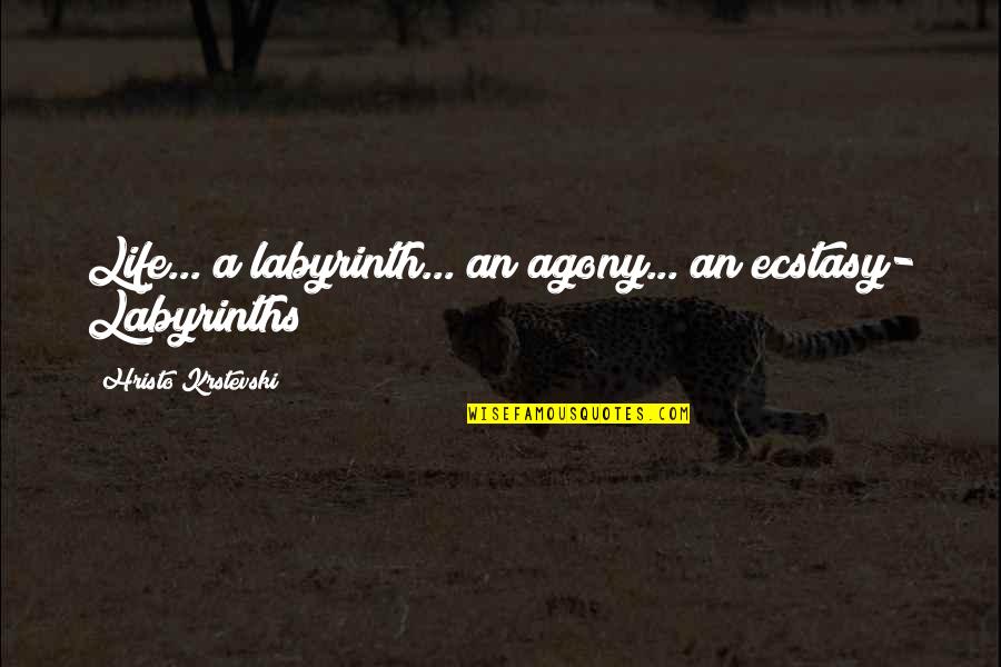 Ecstasy Quotes By Hristo Krstevski: Life... a labyrinth... an agony... an ecstasy- Labyrinths Ecstasy Quotes By Hristo Krstevski: Life... a labyrinth... an agony... an ecstasy- Labyrinths