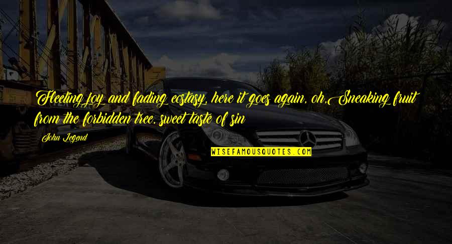 Ecstasy Quotes By John Legend: Fleeting joy and fading ecstasy, here it goes Ecstasy Quotes By John Legend: Fleeting joy and fading ecstasy, here it goes