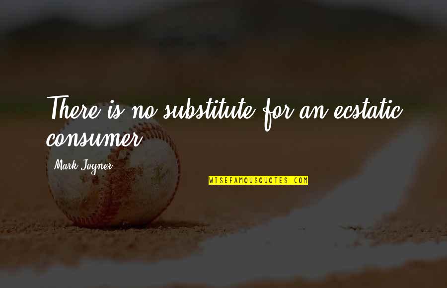 Ecstatic Quotes By Mark Joyner: There is no substitute for an ecstatic consumer.