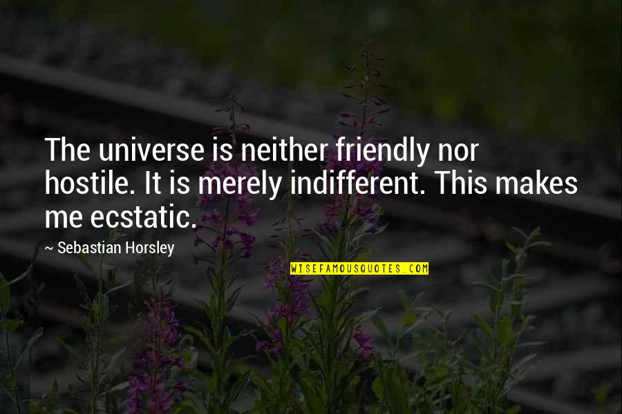 Ecstatic Quotes By Sebastian Horsley: The universe is neither friendly nor hostile. It