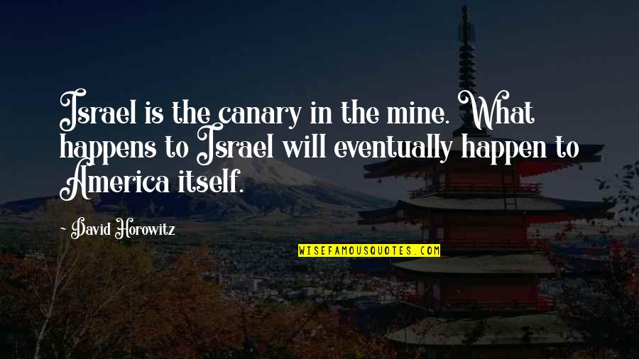 Ecuadorian Proverbs Quotes By David Horowitz: Israel is the canary in the mine. What