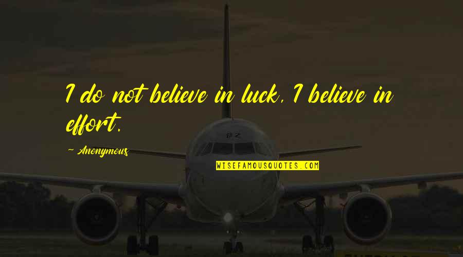 Ecumenicalism Quotes By Anonymous: I do not believe in luck, I believe Ecumenicalism Quotes By Anonymous: I do not believe in luck, I believe