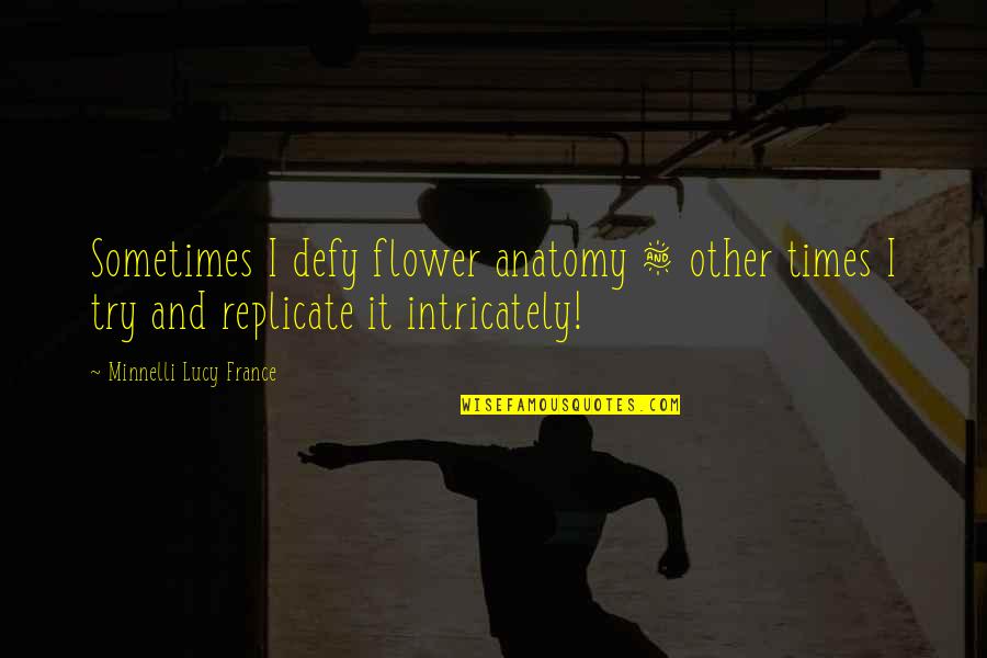 Ed And Rose Quotes By Minnelli Lucy France: Sometimes I defy flower anatomy & other times Ed And Rose Quotes By Minnelli Lucy France: Sometimes I defy flower anatomy & other times