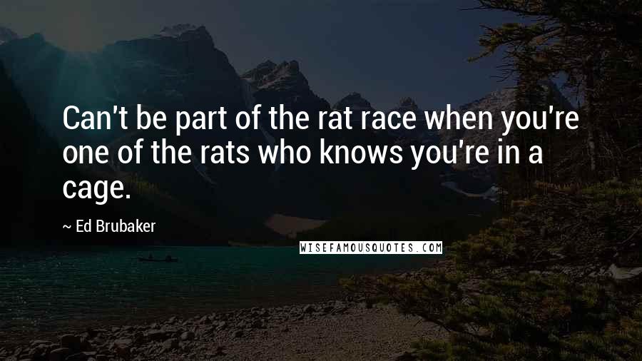 Ed Brubaker quotes: Can't be part of the rat race when you're one of the rats who knows you're in a cage.